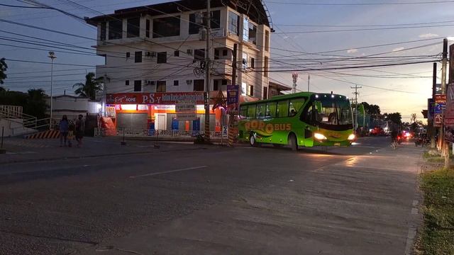 BUS SPOTTING (NEW NORMAL): ROROBUS TRANSPORT 304 смотреть онлайн