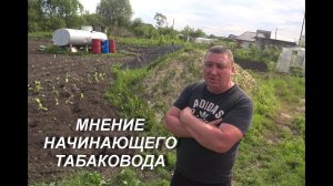 МНЕНИЕ НАЧИНАЮЩЕГО ТАБАКОВОДА
