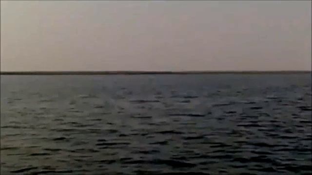 JEZERO NGAMI BOTSWANA смотреть онлайн