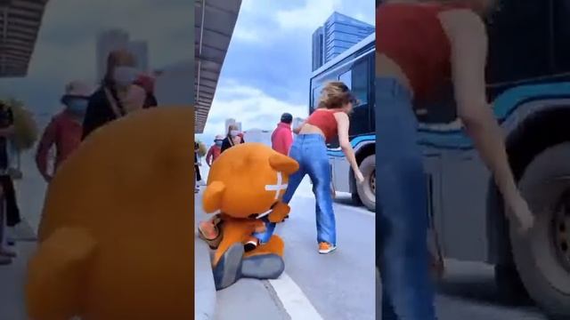 Funny Video l Funny Bear ?? P881 #Shorts смотреть онлайн