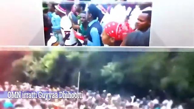 Irreechaa irree Kenya смотреть онлайн