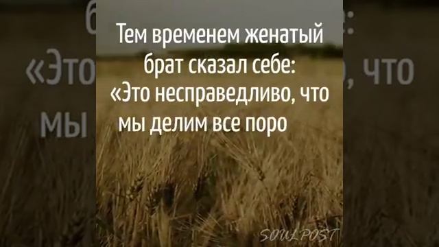 два брата смотреть онлайн