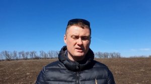 Для чего нужно делать технический срез Павловнии?