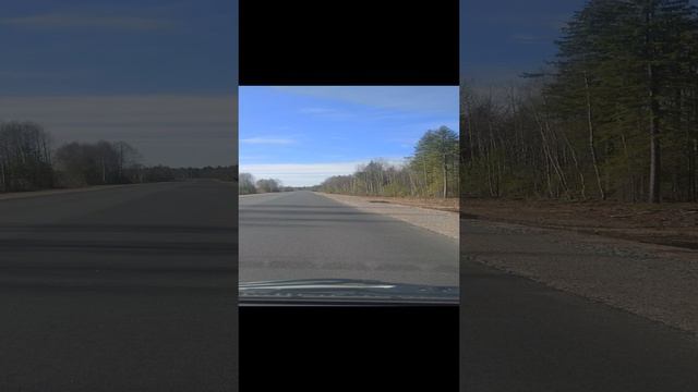 Очередное знакомство с лосями)