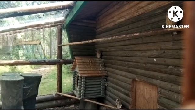 Верхние Мандроги. 2 часть смотреть онлайн