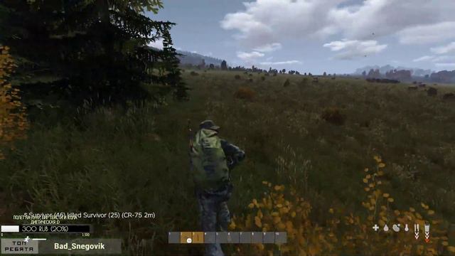 Может сегодня убью? | DayZ смотреть онлайн