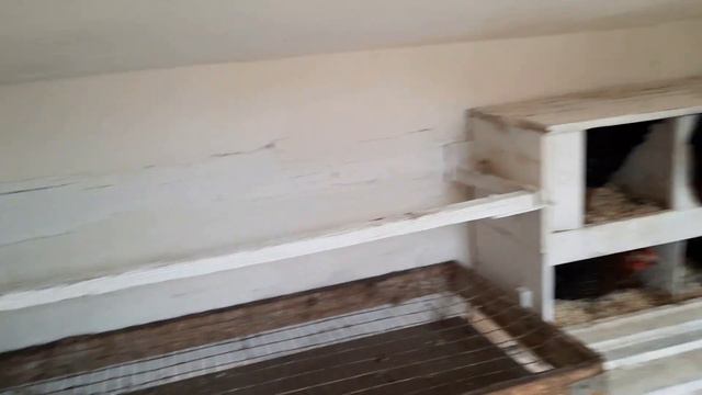 Закупка кур в Германии смотреть онлайн