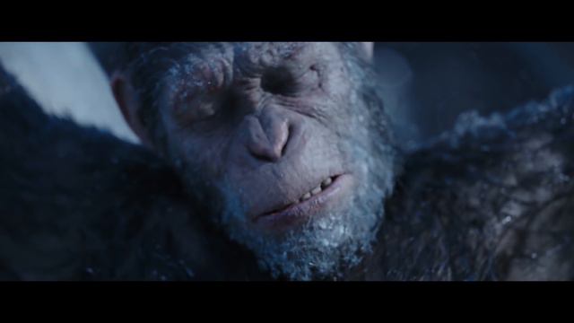 How to Evoke Emotion as an Actor смотреть онлайн