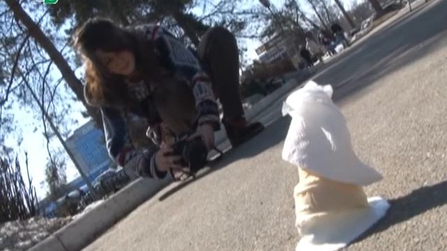 Город под прицелом камеры