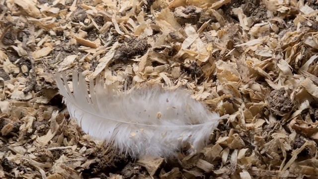 Они это делают каждый день и даже не ждут спасибо... смотреть онлайн