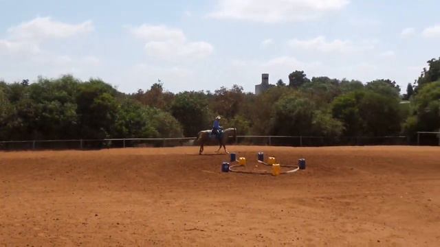 Australian Extreme Cowgirls Virtual Show Round1 -Ride Smart- Herve Deknuydt & Rooster Like a Diamon смотреть онлайн