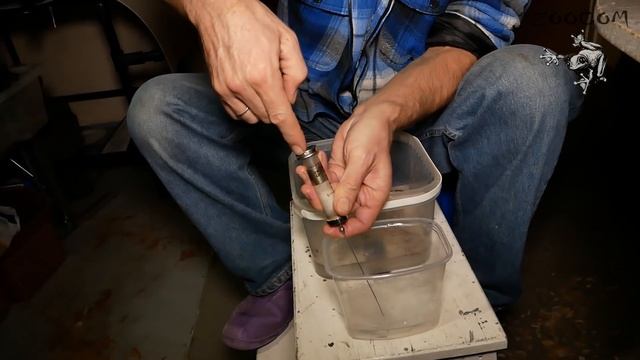 Закупорка кишечника у рогатки: что делать?