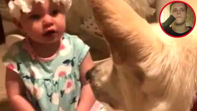 Девочка решил поцеловать собаку, но семья не была готова к реакции собаки… смотреть онлайн