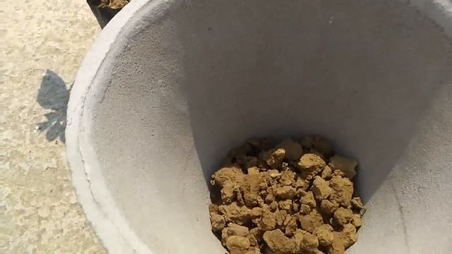 Best soil for hibiscus flower plants смотреть онлайн