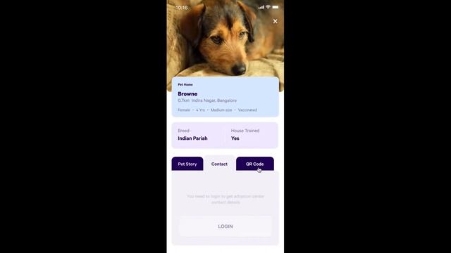 Pet Adoption Mobile App смотреть онлайн