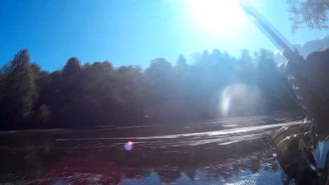 Ловля щуки на спиннинг на реке Дубна смотреть онлайн