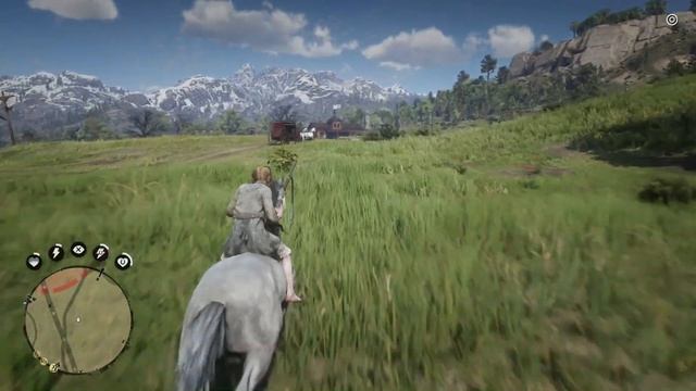 ОБЗОР МОДОВ В RED DEAD REDEMPTION 2! Native Trainer v0.1-ПРЕВРАТИЛСЯ В ЖИВОТНЫХ! МОДЫ RDR 2 смотреть онлайн