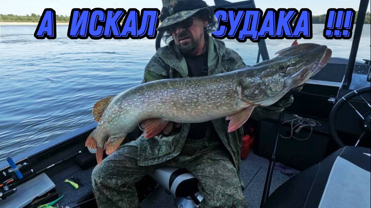 ИСКАЛ СУДАКА , А НАШЕЛ КАК ОБЫЧНО ЩУКУ !!! Рыбалка на Оби 13 августа 2024г. смотреть онлайн