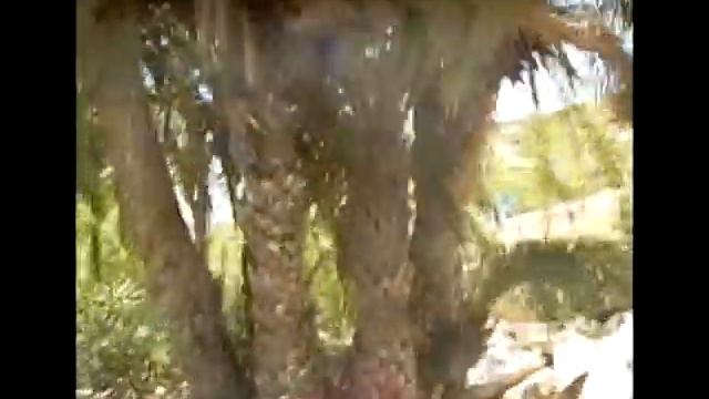 Lasithi Roadtrip coast to coast смотреть онлайн