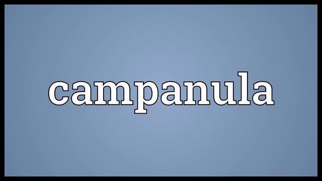 Campanula Meaning