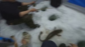 #рыбалка #Туруханск #весна
Отличная рыбалка. НАЛИМ НА СТУК.