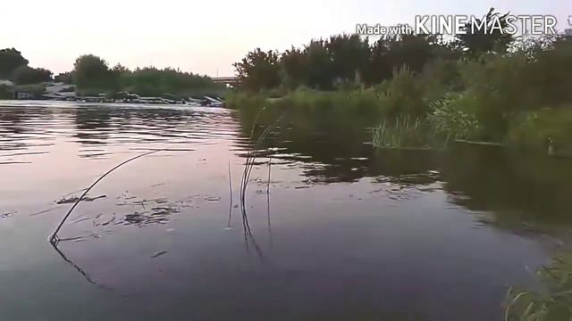 Беково. Хопер 2012 - 2020. Хопер видел разным. Таким мелким - первый раз.. смотреть онлайн