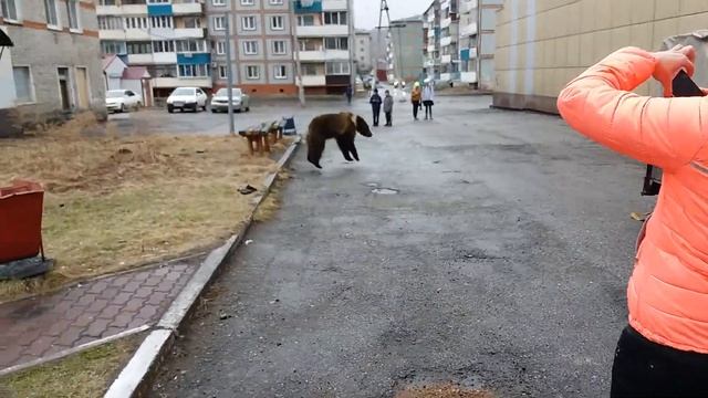 26 апреля 2017 г. смотреть онлайн