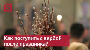 Что делать с освещенной вербой после Пасхи