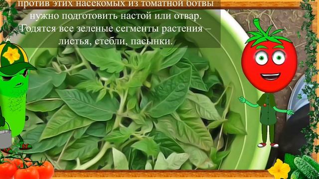 ПОПРОБОВАЛ ЭТОТ СПОСОБ И ДО СИХ ПОР ШОК! смотреть онлайн