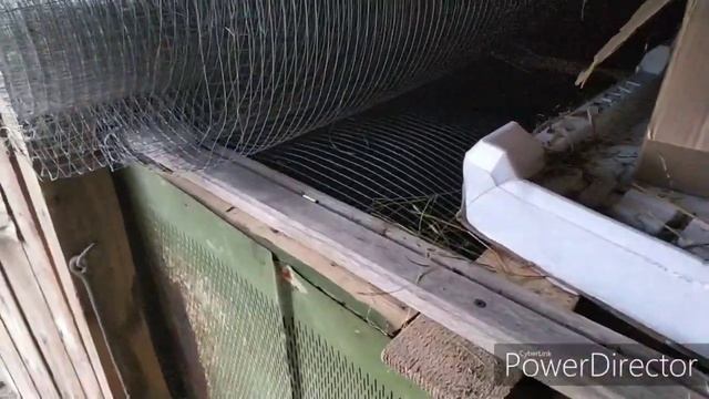 Индюшка спрятала гнездо, что нужно делать? / Поиски пропавшей индюшки смотреть онлайн