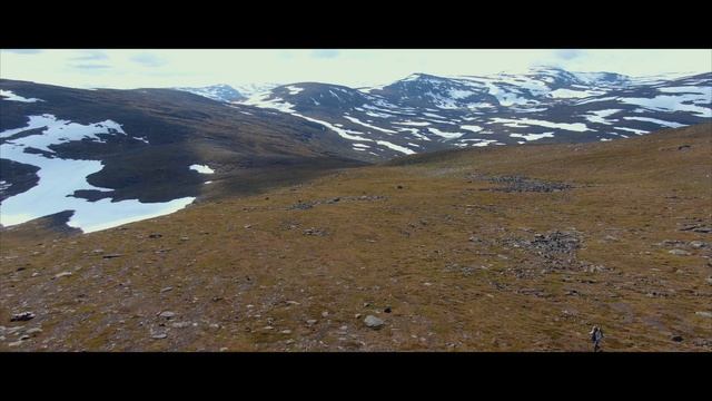 Abisko (The hunt for Boloria Improba) Adventure in the Swedish alps. смотреть онлайн