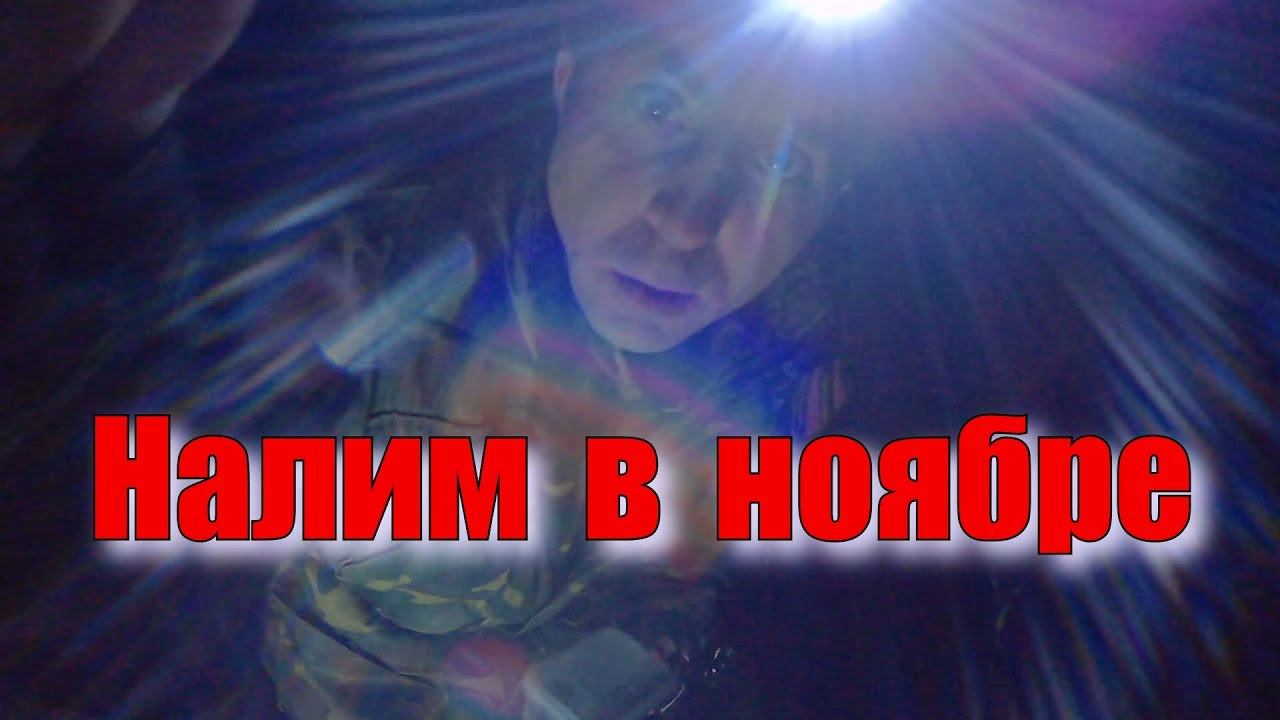 Налим в ноябре. Ловля налима осенью