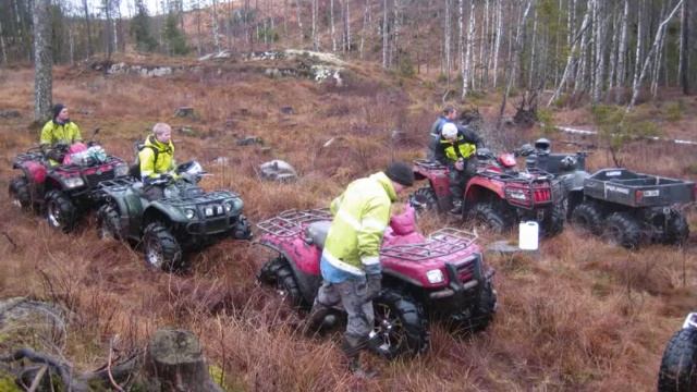 Bilder från Glöggaköret i Dals Ed смотреть онлайн