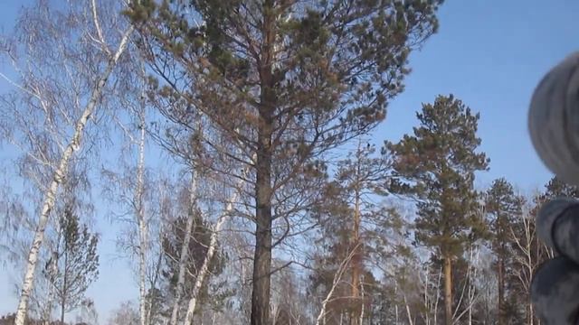 Пневматическая винтовка Эдган Матадор R3M 5,5 тест по черной смотреть онлайн