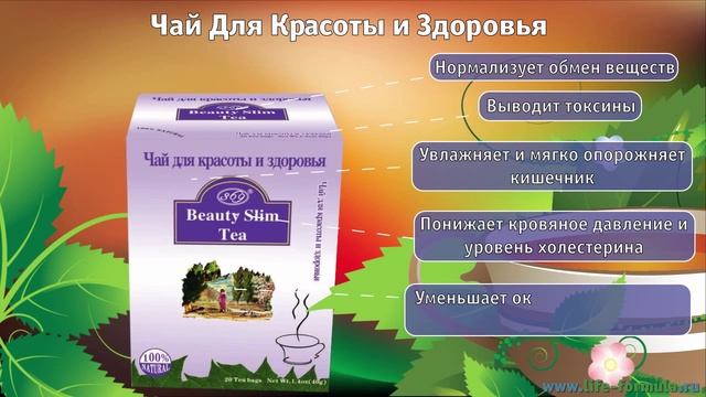 369 Чай для красоты и здоровья смотреть онлайн