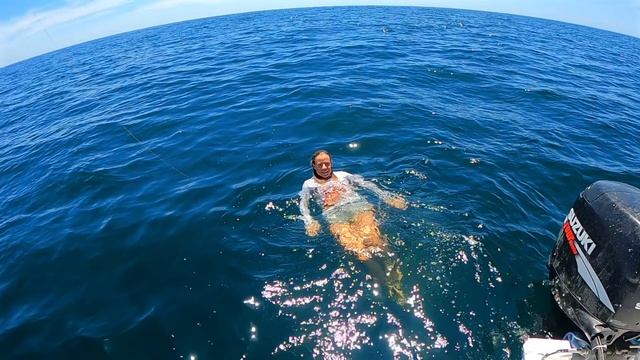 ВАУ! КОСТА РИКА РЫБАЛКА КЛАСС - МЫ ПОЙМАЛИ 4 РАЗНЫХ ВИДА РЫБ! смотреть онлайн