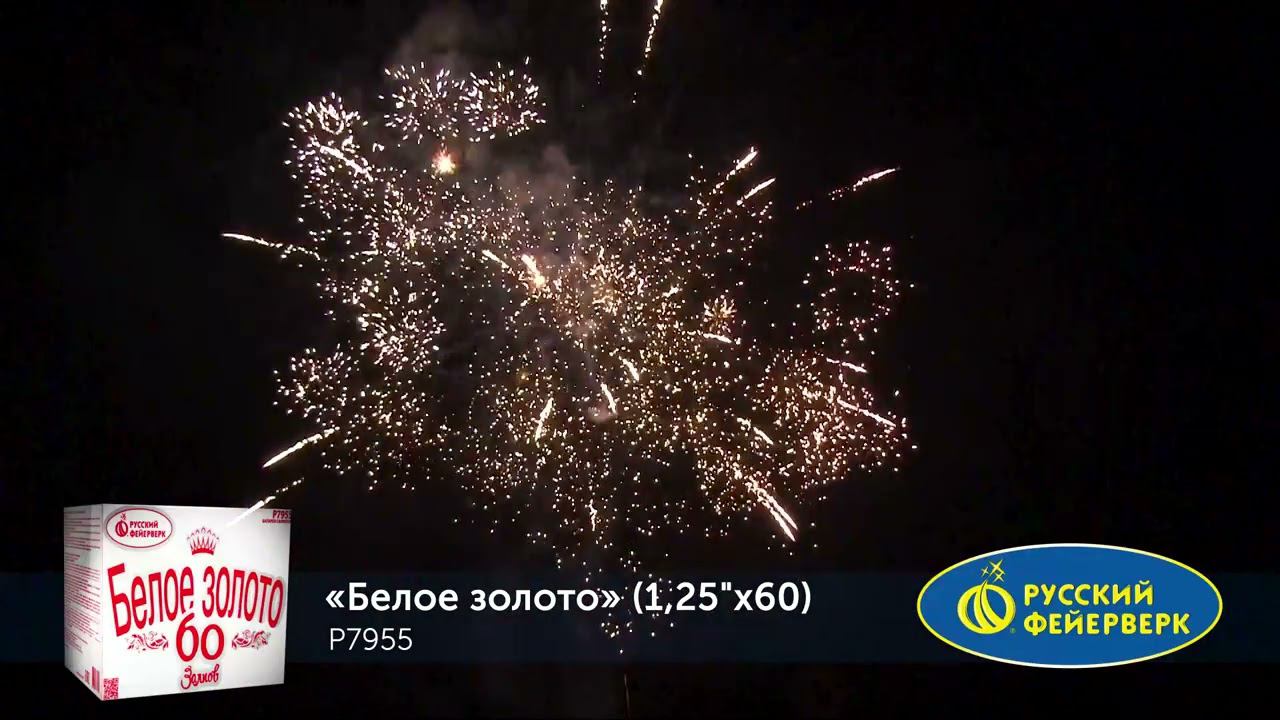 P7955 смотреть онлайн