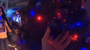 Что будет? собака и 15 кг корма / День рождения маламута Майка