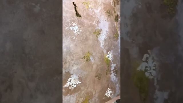 Шёлковая Краска для стен