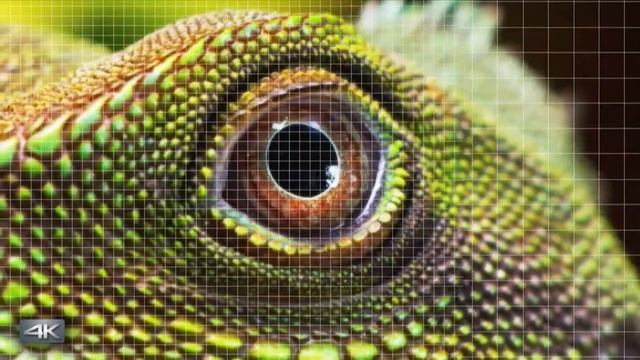 Panasonic Lumix FZ82 смотреть онлайн