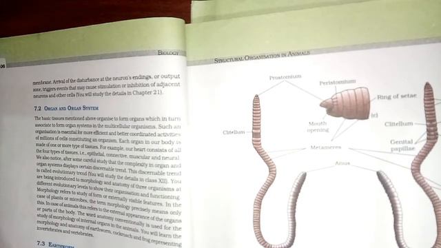Crash Structural Organisation In Animals NEET Biology Classes In Malayalam (Sumi) смотреть онлайн