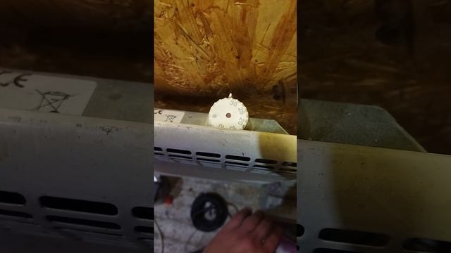 Мастерская мечты 135 день ЧАСТЬ 1 #short смотреть онлайн