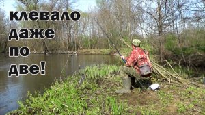 Жор плотвы! Удачная рыбалка на малой речке.