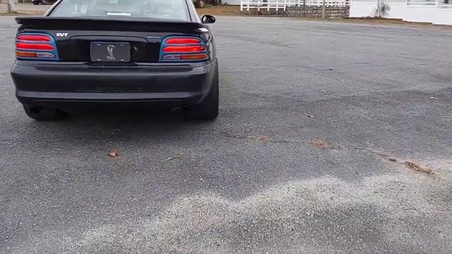 Cobra 3" Black Widow Neighbor haters at idle смотреть онлайн