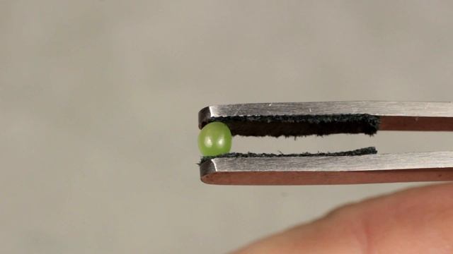 Зеленый нефрит "Яблочный", овальный кабошон (Green nephrite jade) смотреть онлайн