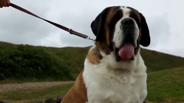 Britain's Best View: The Malvern Hills смотреть онлайн