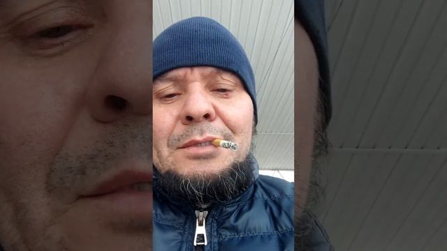 Дегустация сорта Havana 142 и Habano 2000