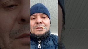 Дегустация сорта Havana 142 и Habano 2000