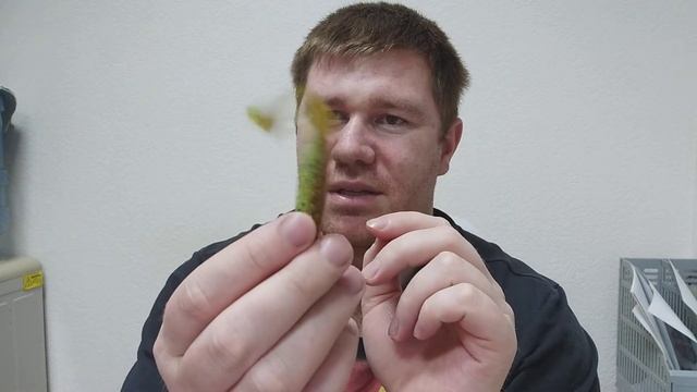 Силиконовая приманка Frapp Funky Shad. Видеообзор для Fmagazin.