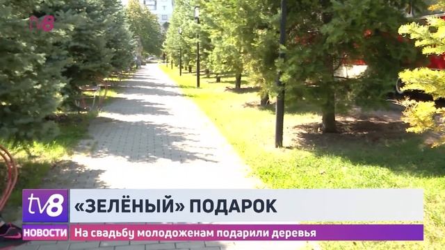 «Зелёный» подарок смотреть онлайн